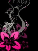 /album/bakker-csajok/mob-w-246-jpg/